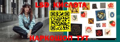 молекула духа Кингисепп