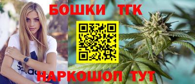 молекула духа Кингисепп