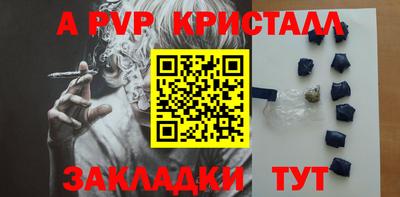 молекула духа Кингисепп