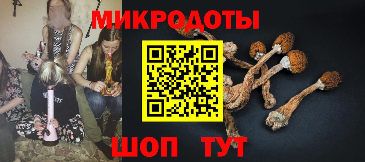 Галлюциногенные грибы Cubensis Кулебаки